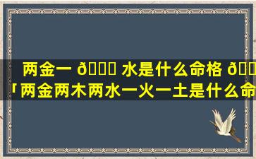 两金一 🐛 水是什么命格 🌼 「两金两木两水一火一土是什么命」